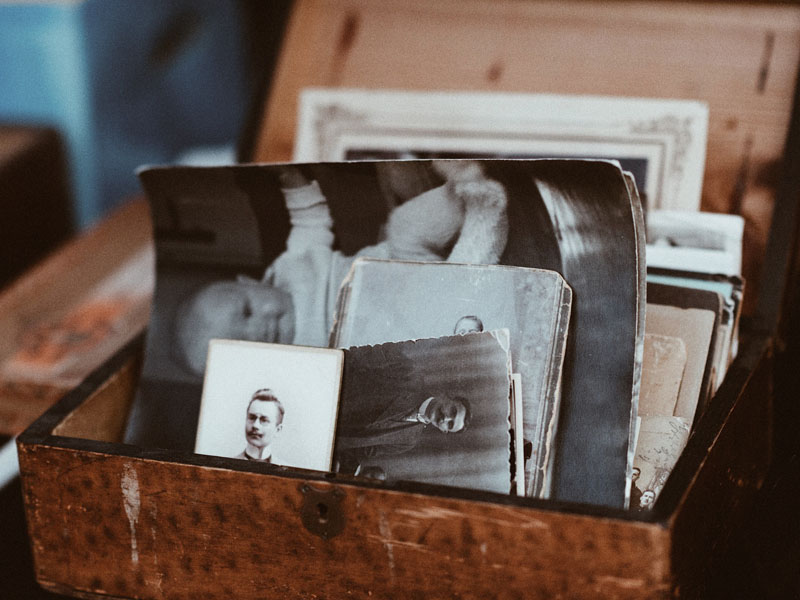 Image for Your Lineage is Out There: A Few Helpful Methods to Find Your Family Members