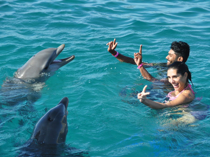 Animal Encounter
