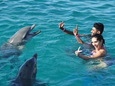 Animal Encounter date idea