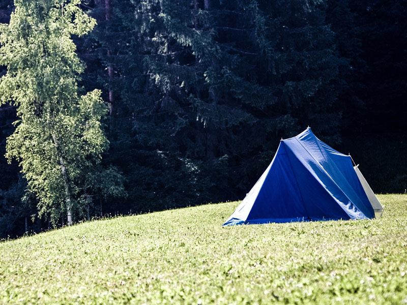 Backyard Camping