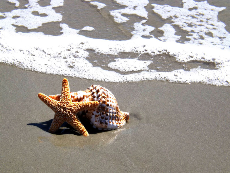 Beachcombing