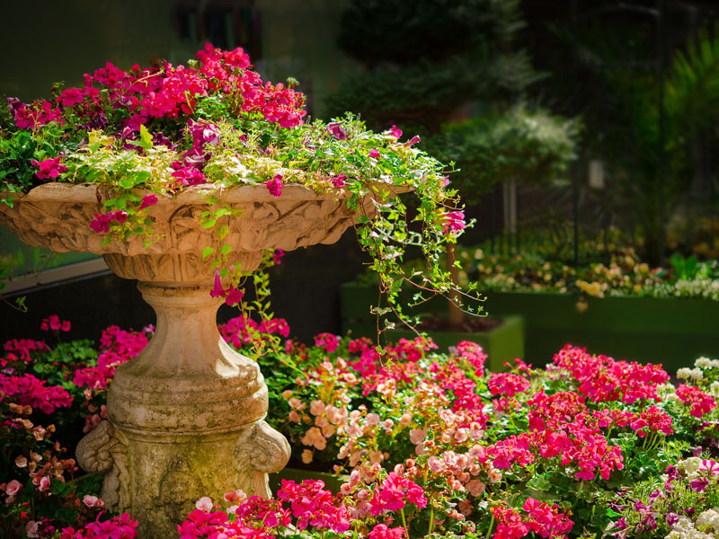 Botanical Garden