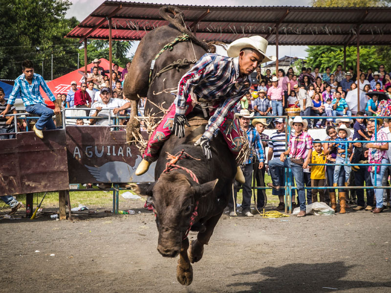 Bull Riding