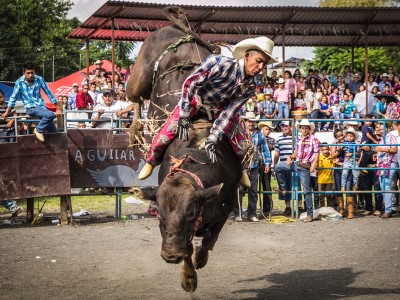 Bull riding