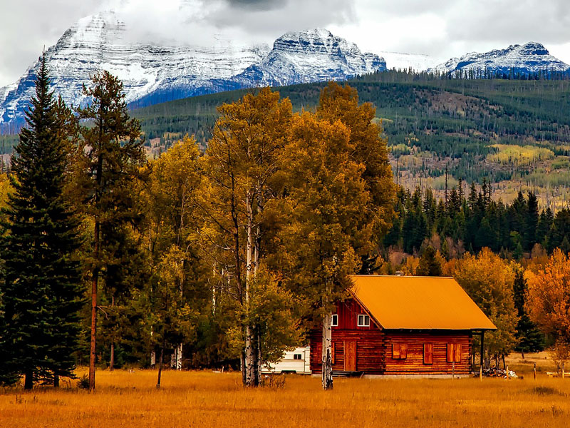Cabin