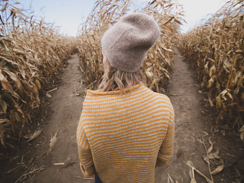 Corn Maze
