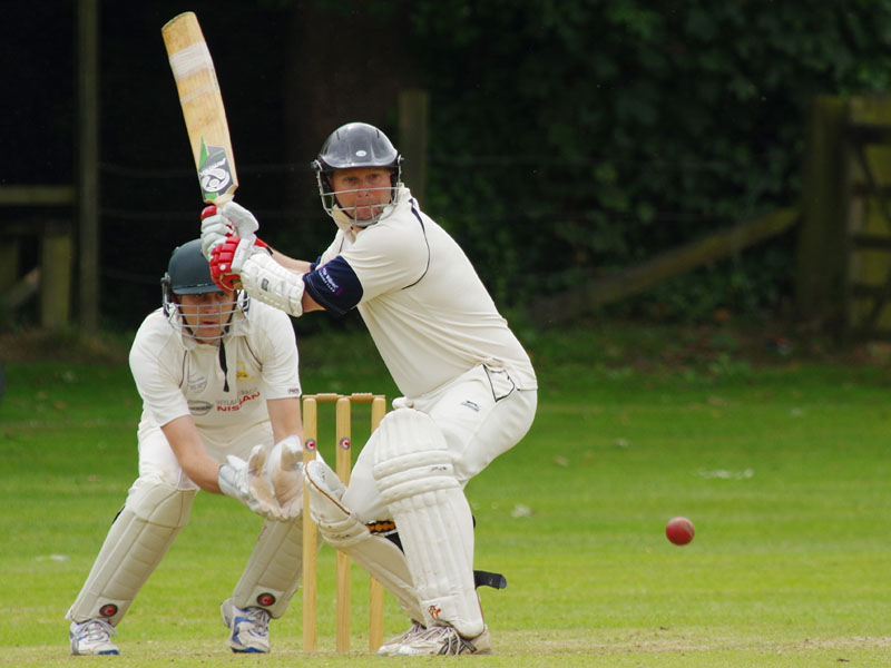 Cricket