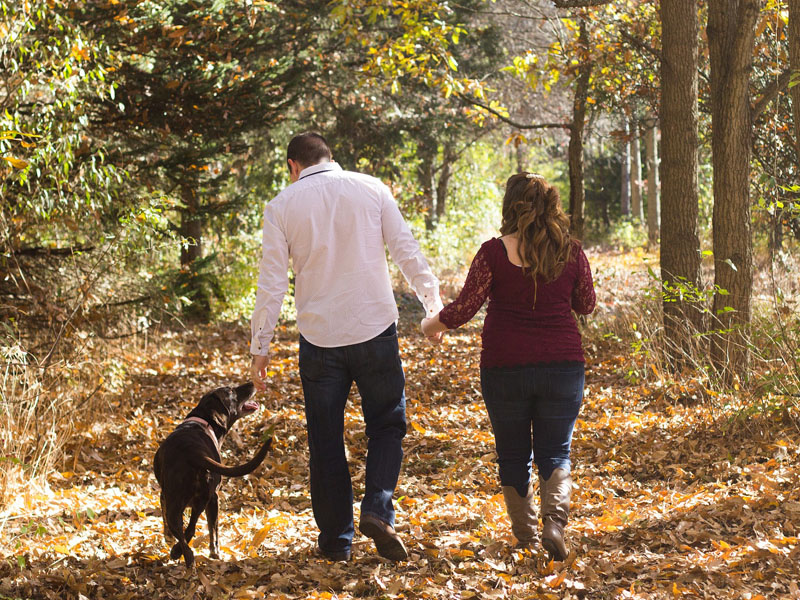 Dog Walking