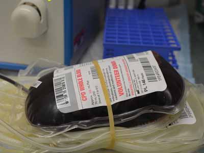 Donate Blood date idea