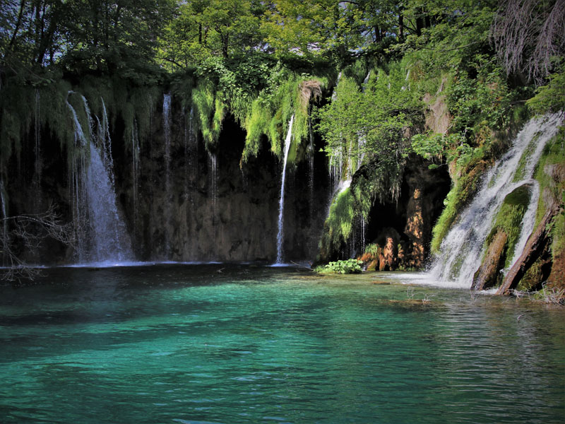 Ecotourism