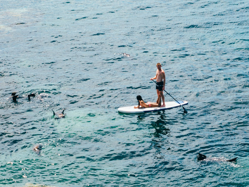 Paddleboarding