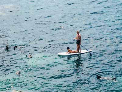 Paddleboarding