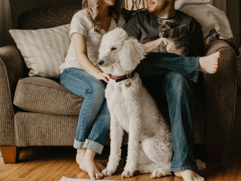 Petsitting