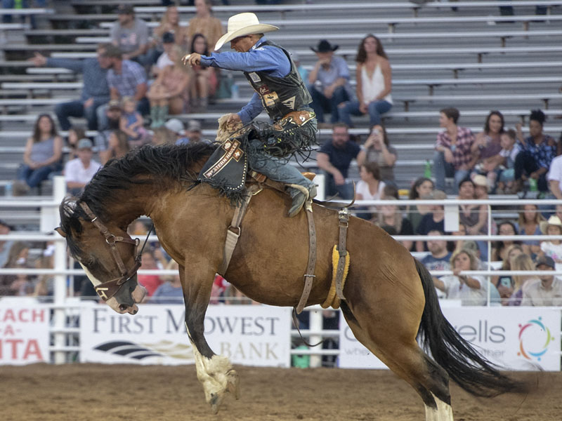 rodeo