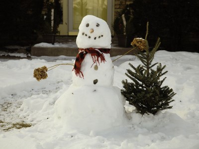 Snowman date idea
