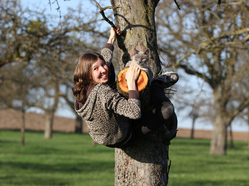 Tree Climbing