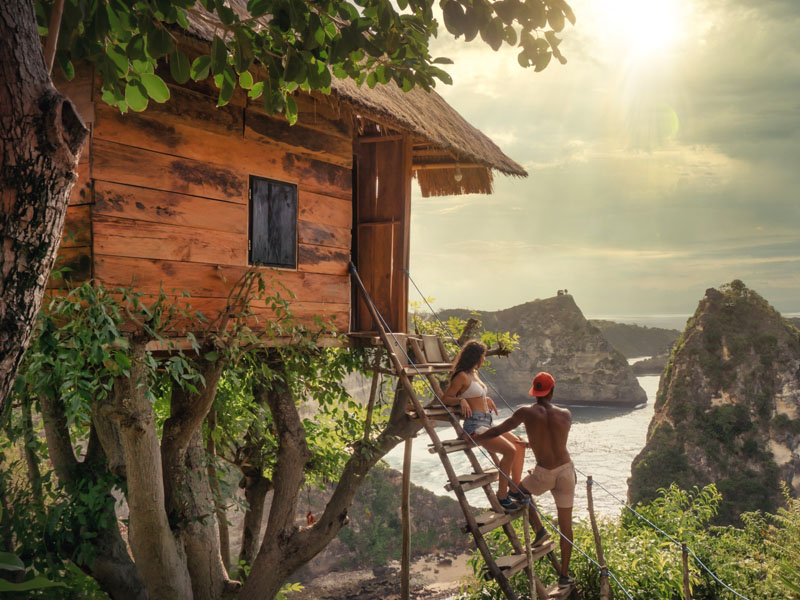 Tree House