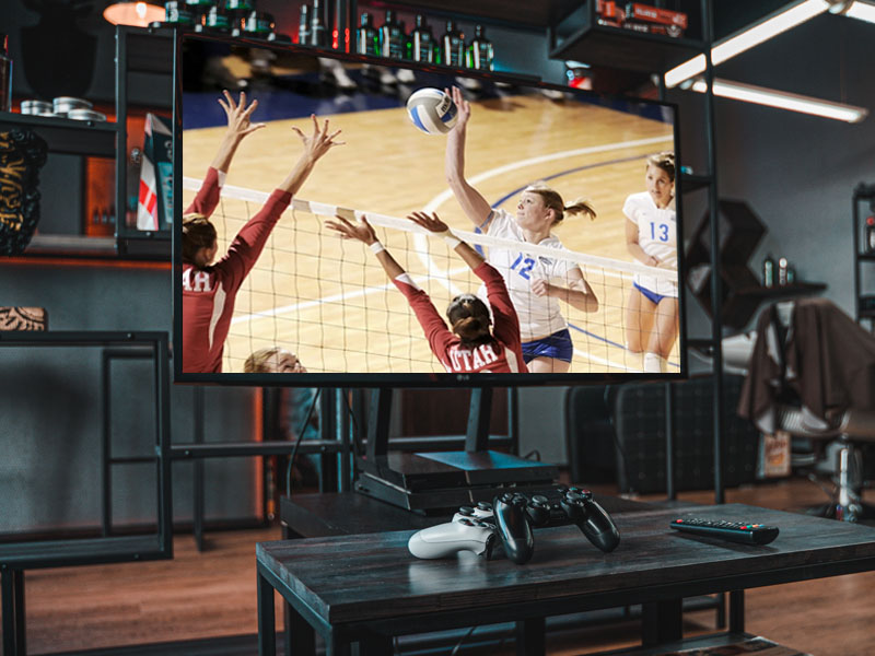 volleyball (watching on tv)